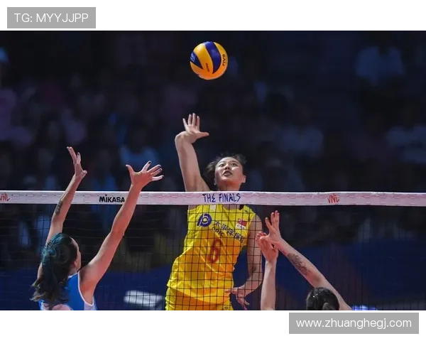 南京排球队总决赛之路：拼搏与荣耀交织的奋斗历程回顾